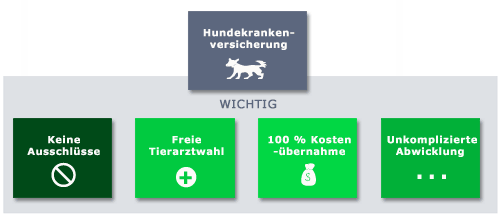 Hundekrankenversicherung