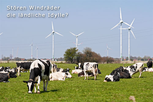 Windräder Idylle